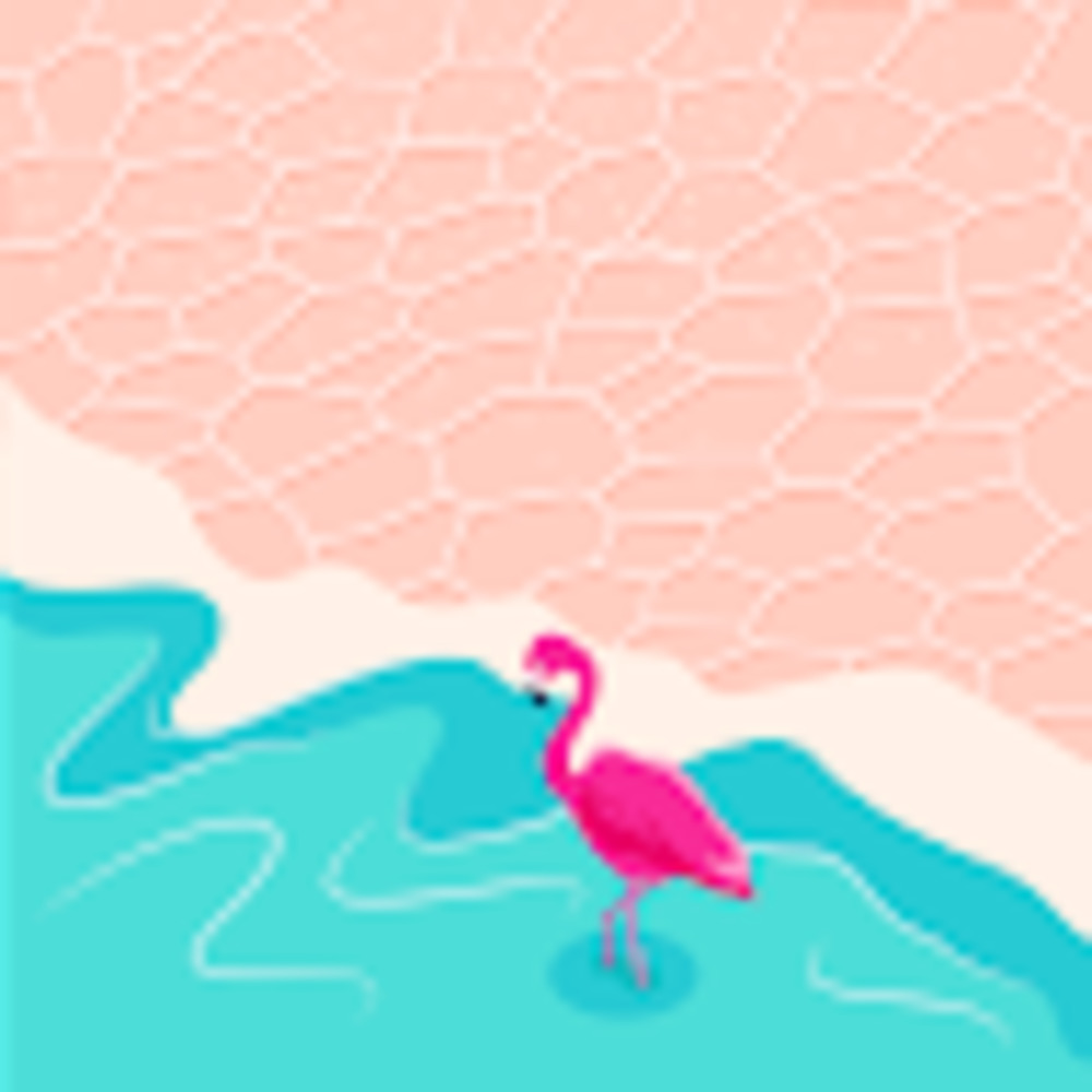 Meet your Posher, Lacy